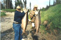 Alaskan Hospitality Lodge